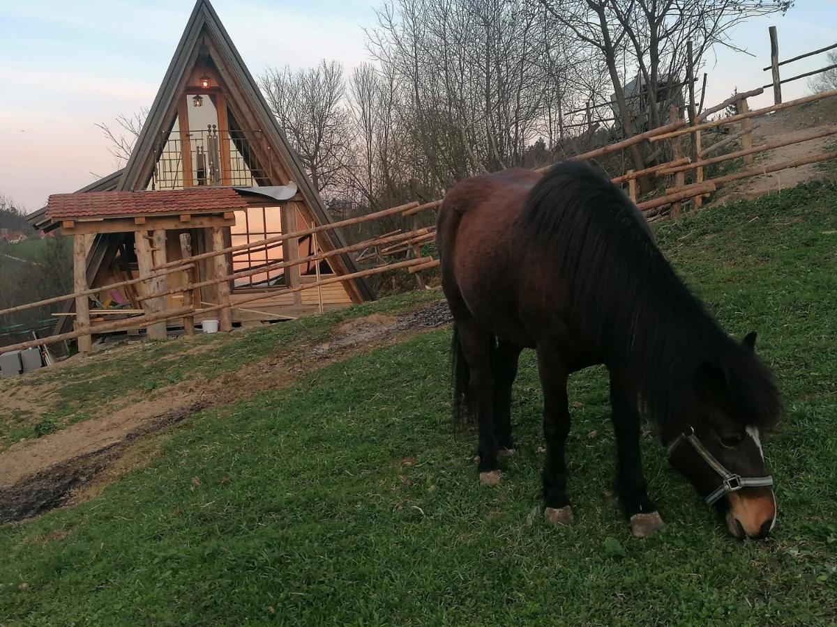 Ranch At Geta Guest House Razgorce Екстериор снимка