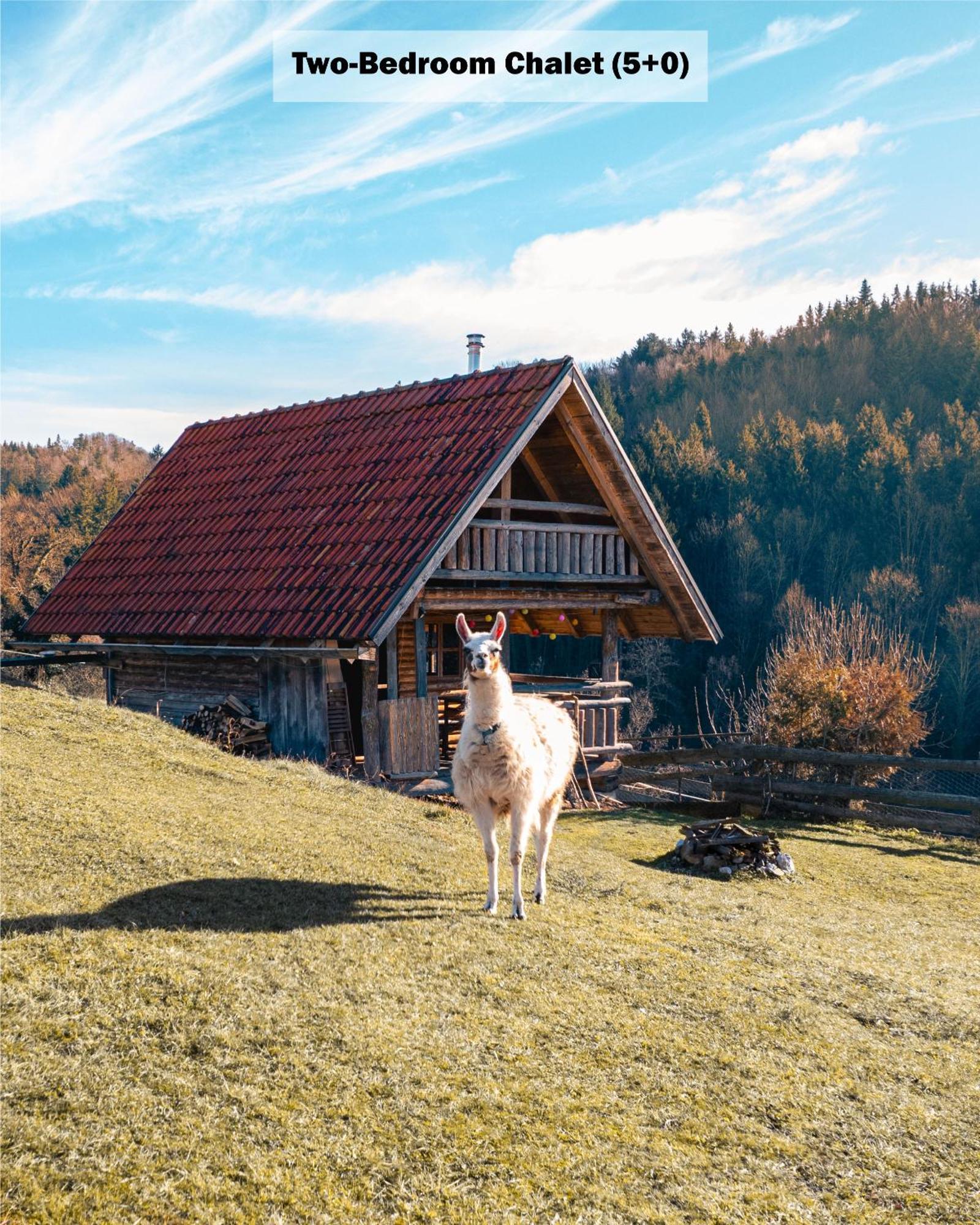 Ranch At Geta Guest House Razgorce Стая снимка